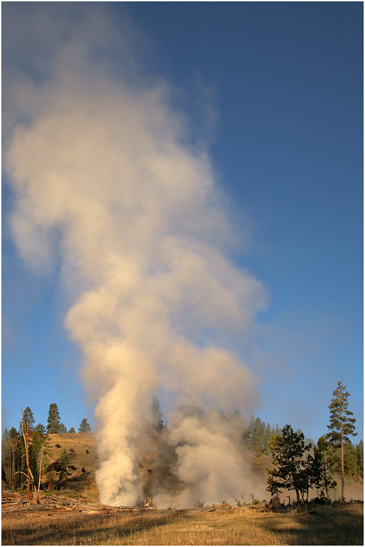 Cooking Hillside, Hayden Valley, Yellowstone