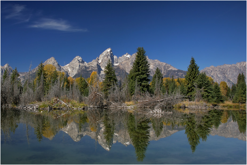 The Tetons from Schwabacher Landing, Teton NP, USA