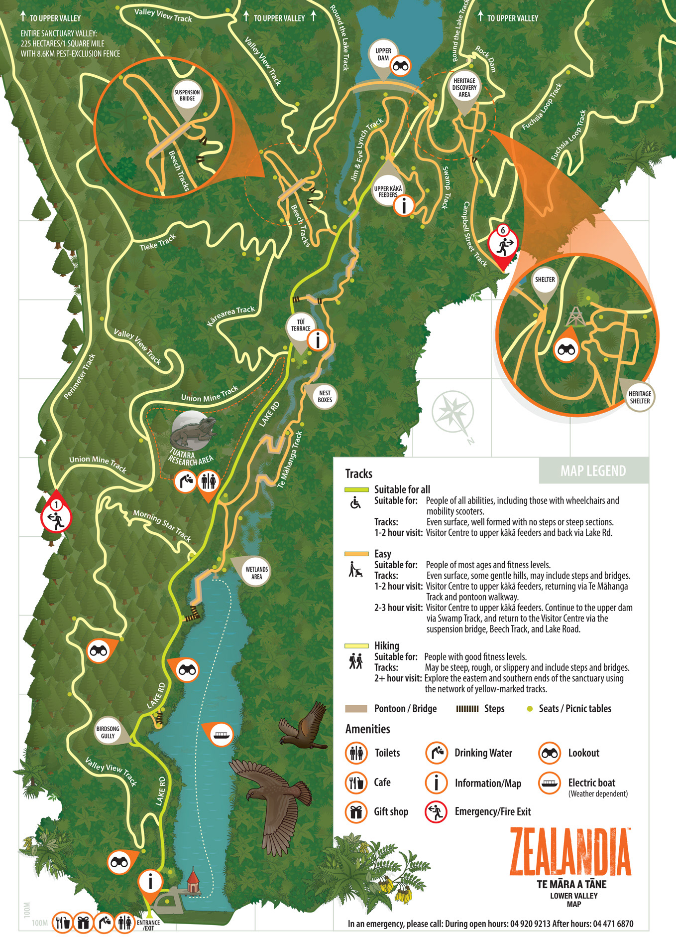 Chris Davidson illustration - Zealandia map