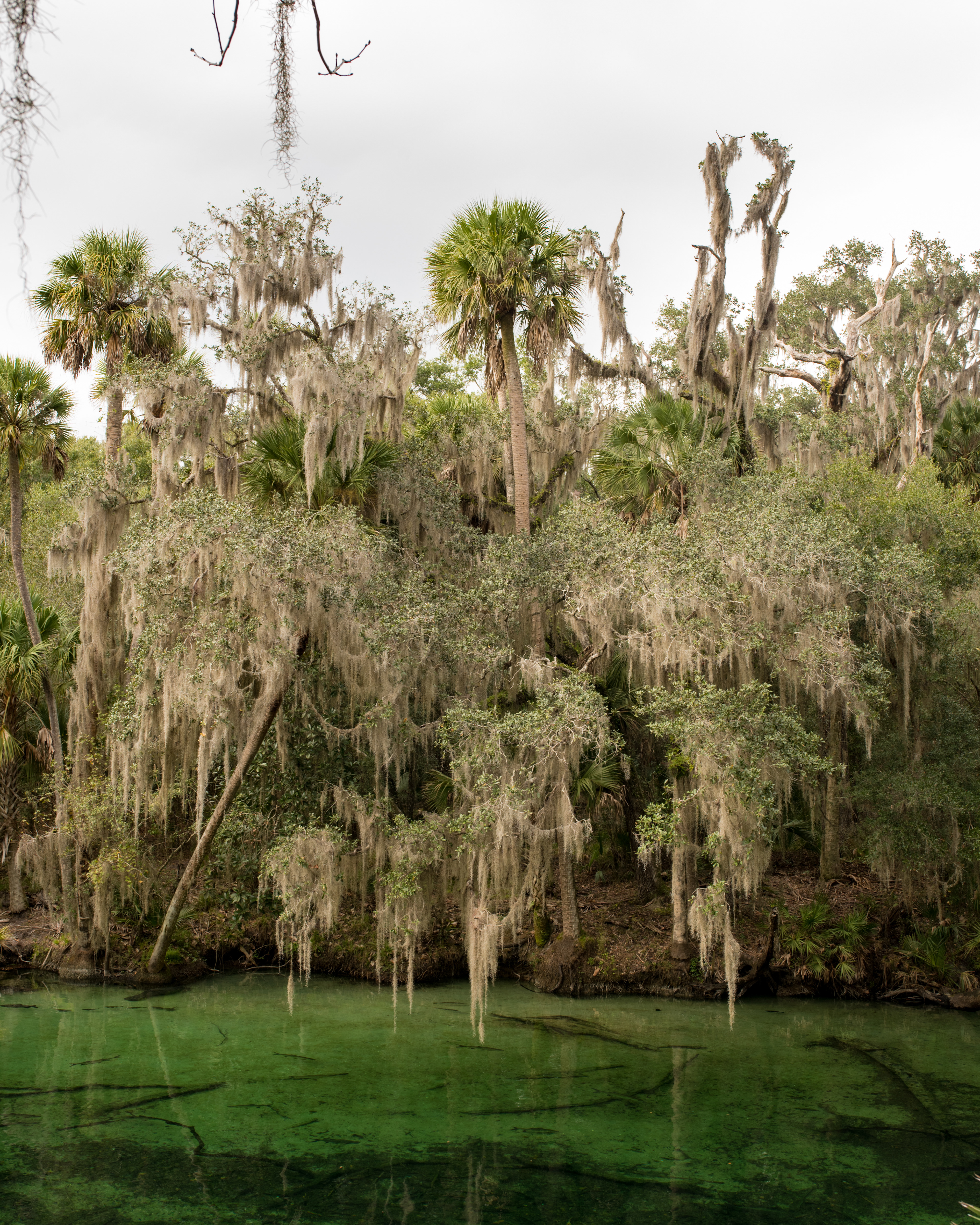 Blue Springs, Florida