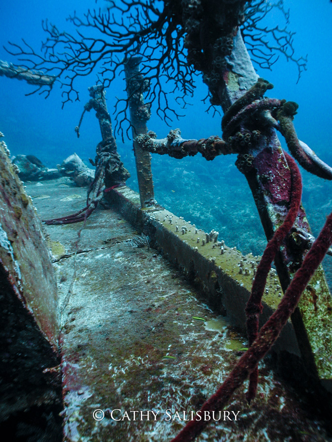 Spelonk Wrecks, Bonaire by Cathy Salisbury
