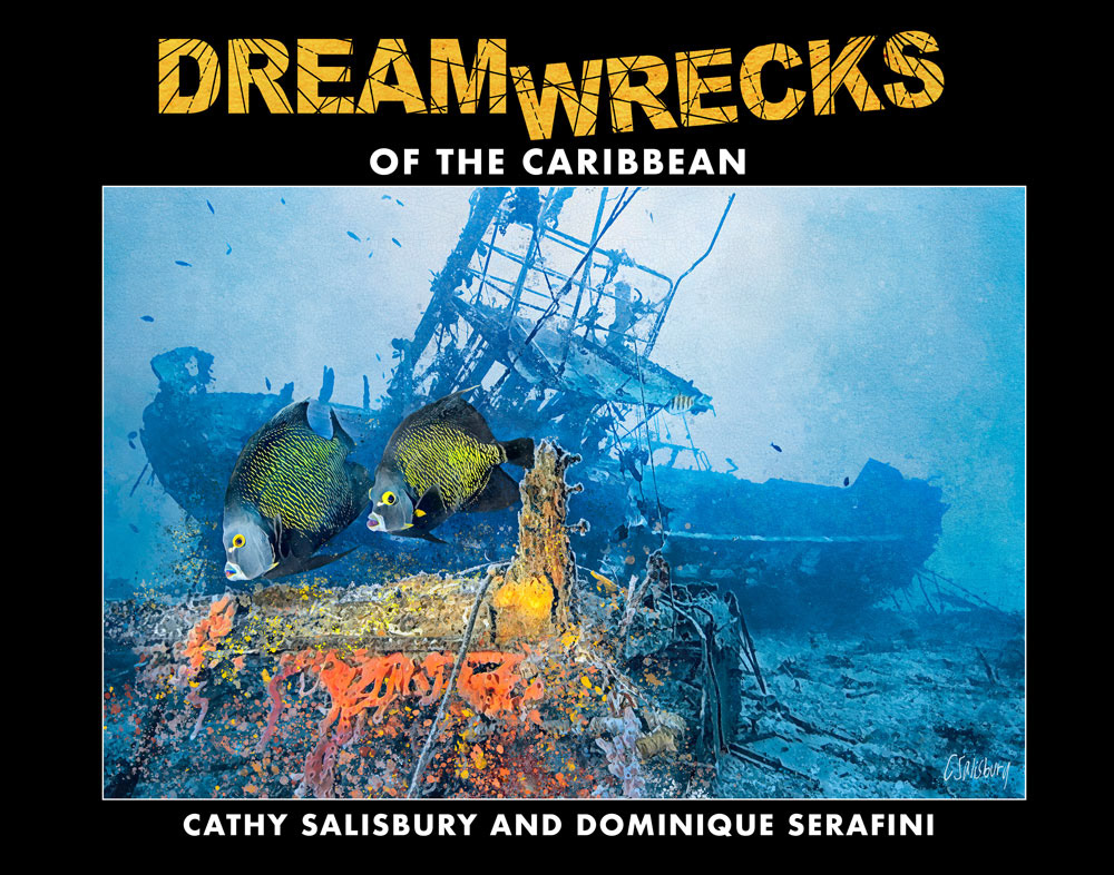 DreamWrecks of the Caribbean by Cathy Salisbury and Dominique Serafini
