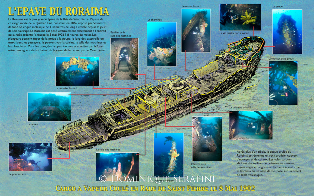 The Roraima, Martinique by Serafini/Salisbury