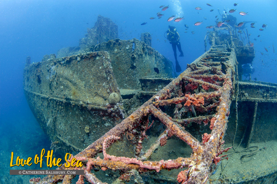 The Veronica L shipwreck, Grenada by Cathy Salisbury
