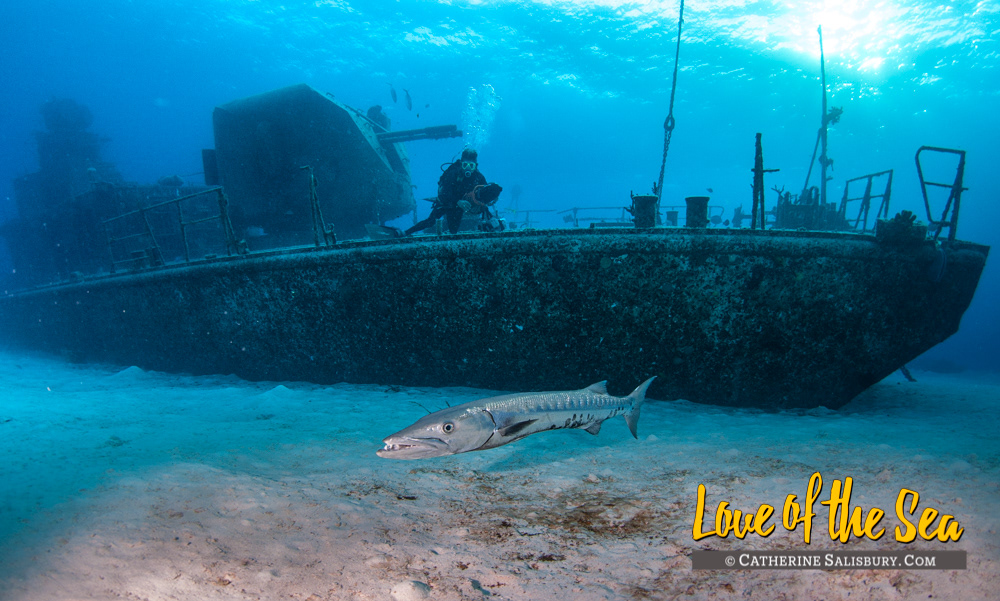 M/V Captain Keith Tibbetts, Cayman Brac by Cathy Salisbury