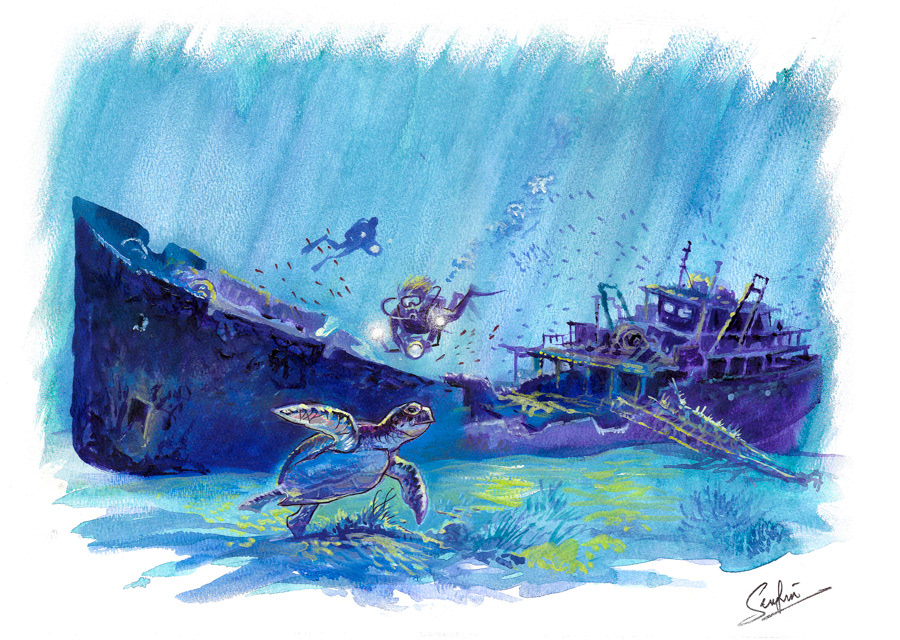 The Wit Shoal (USS LST-467) shipwreck, St Thomas USVI by Dominique Serafini