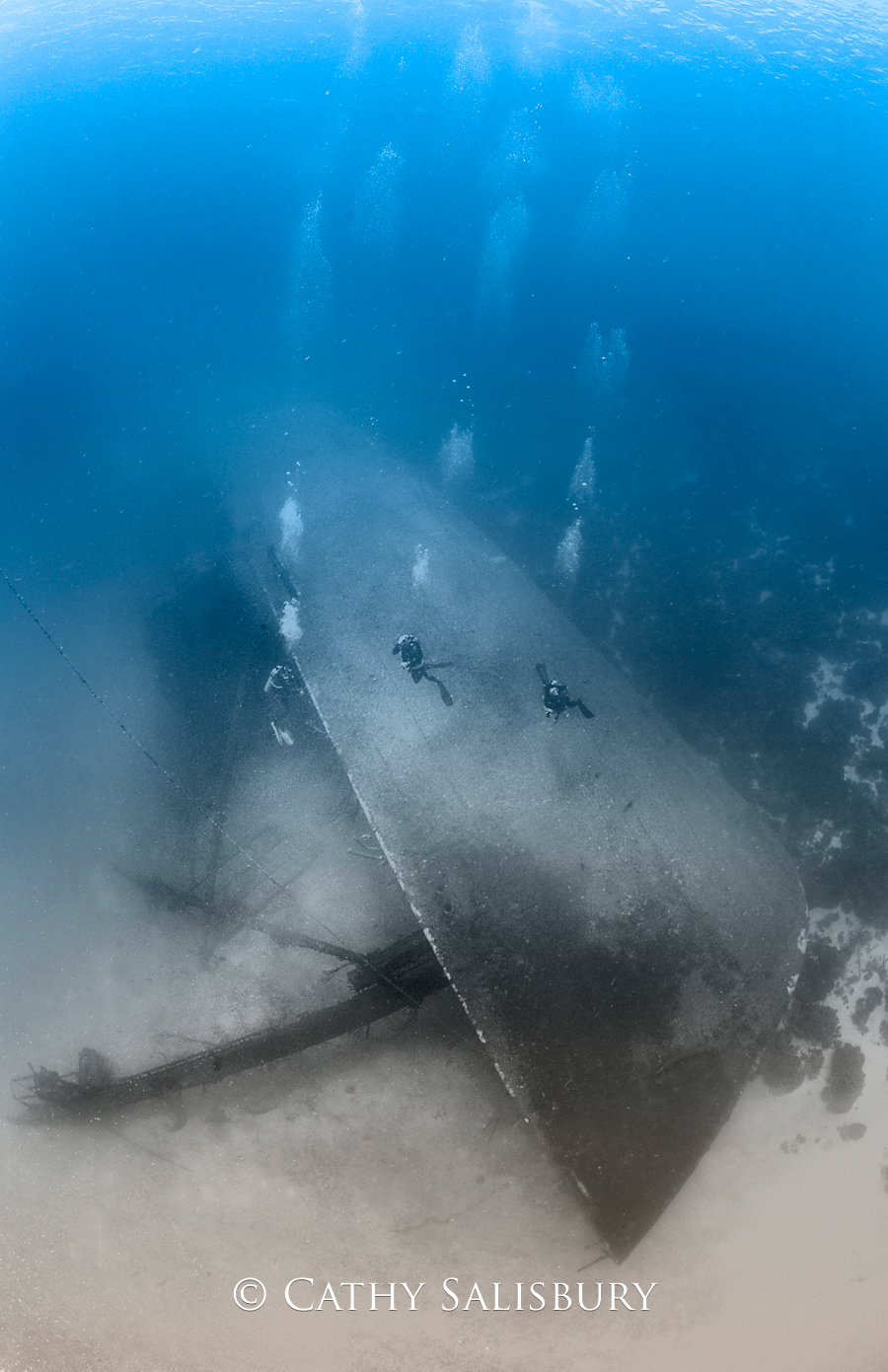 The Hilma Hooker, Bonaire by Cathy Salisbury