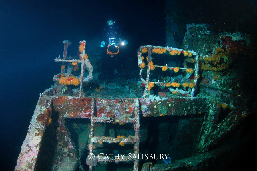 The Jane Sea, Aruba by Cathy Salisbury