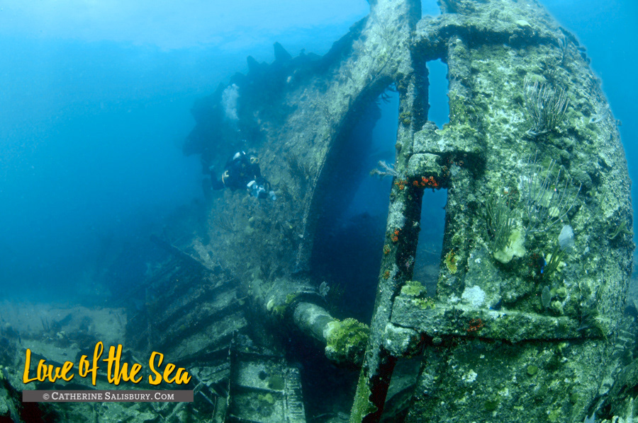 The Rocus aka The Bone Wreck, Anegada, British Virgin Islands by Cathy Salisbury