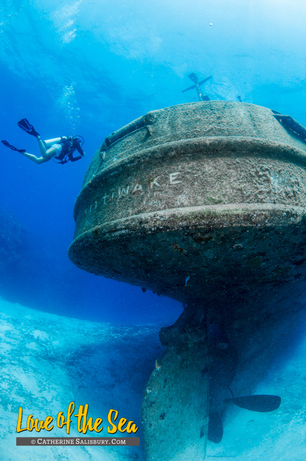 USS Kittiwake, Grand Cayman by Cathy Salisbury