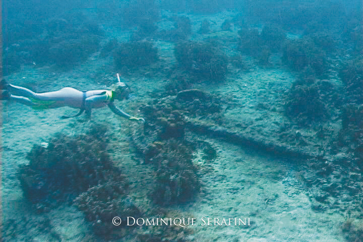 Shipwrecks of Las Aves