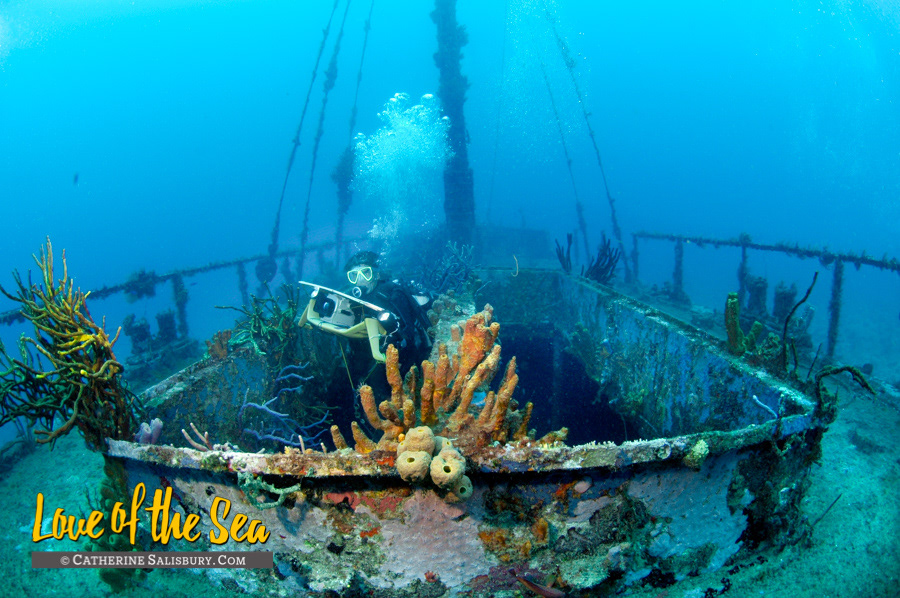 The wreck of The Nahoon, Martinique by Cathy Salisbury