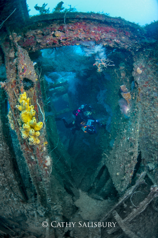 The Bianca C, Grenada by Cathy Salisbury
