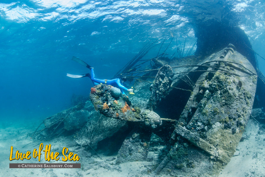 SS Sapona, Bimini, BAHAMAS by Cathy Salisbury