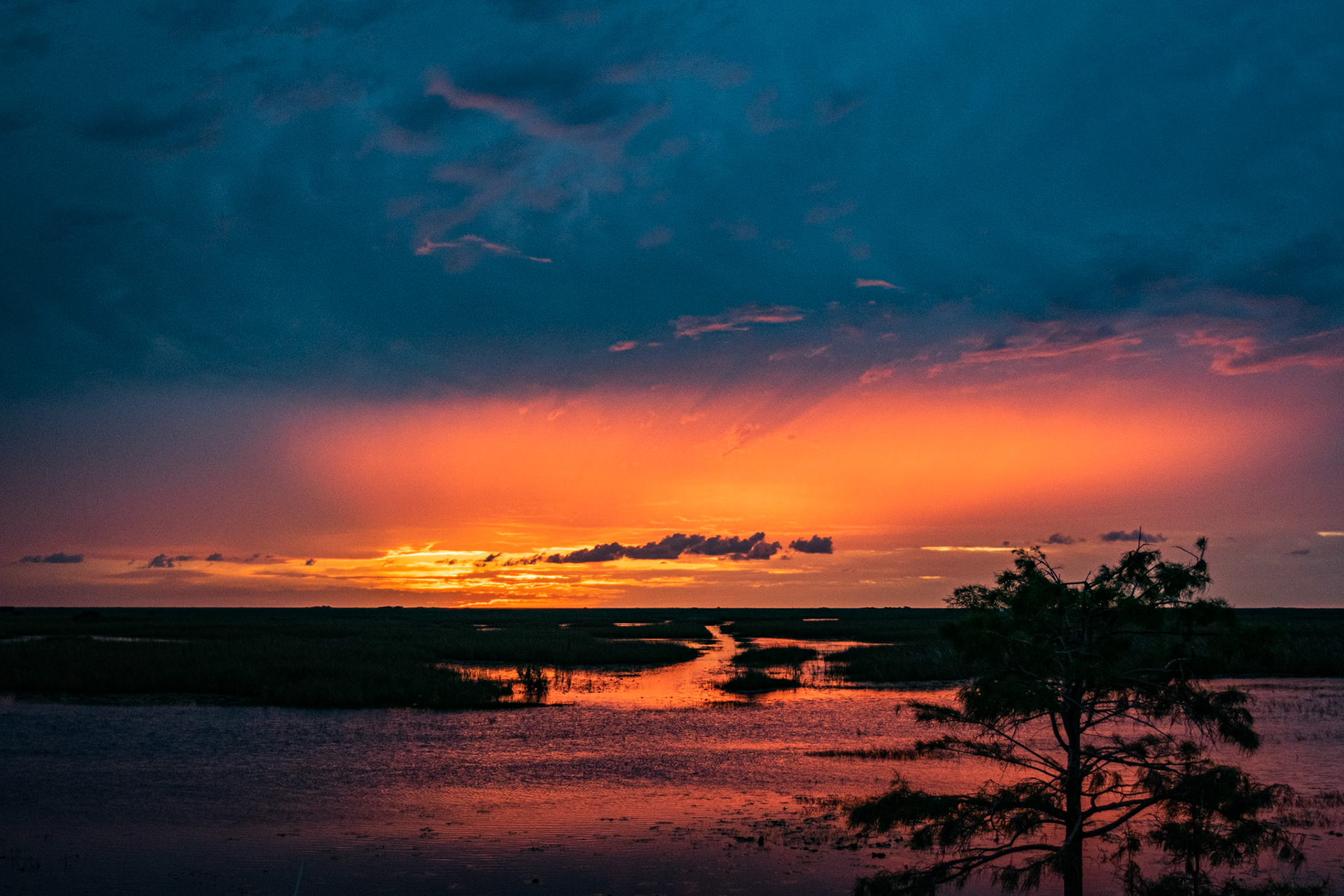 Everglades Sunset