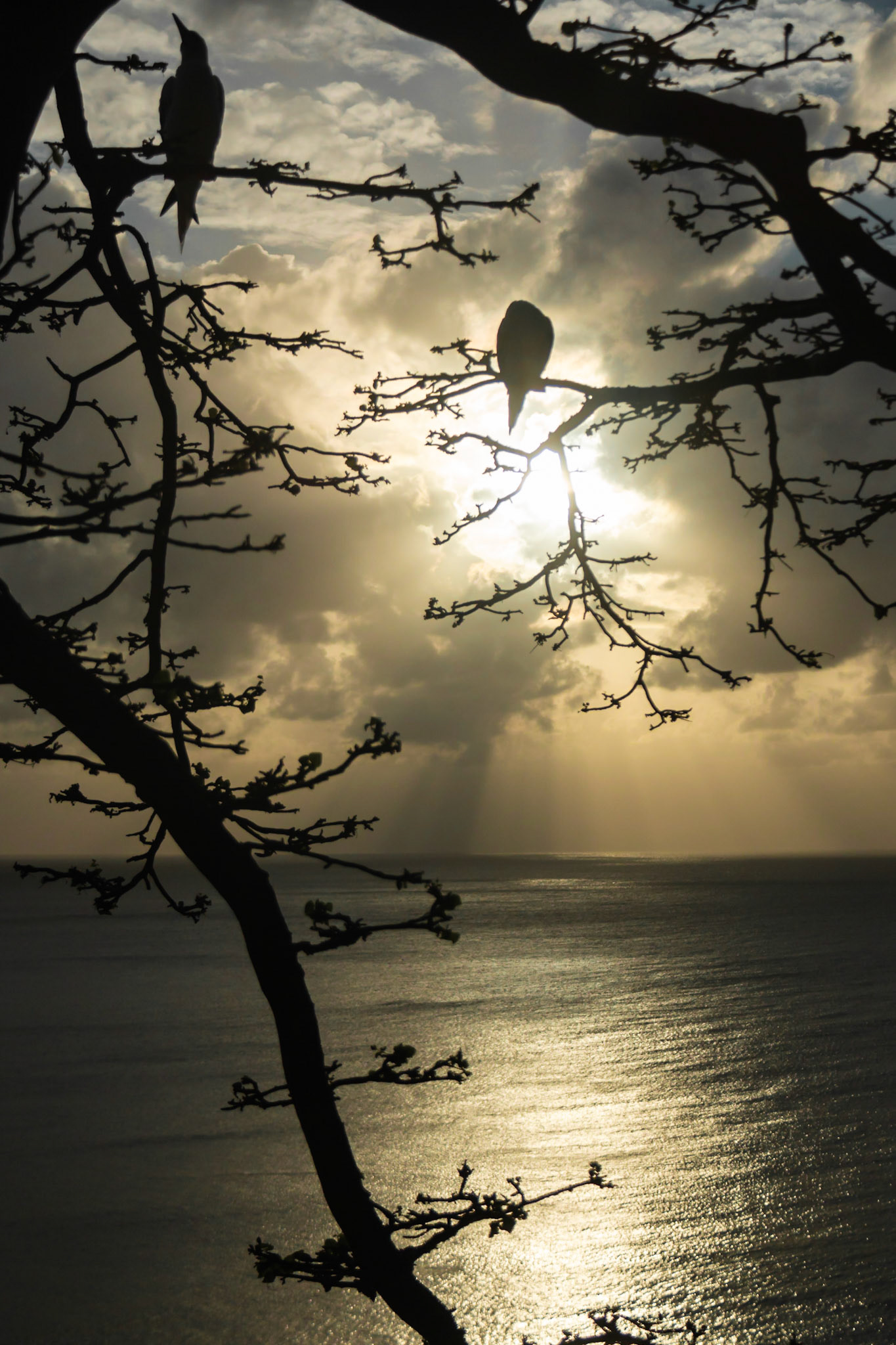Final de tarde com chuva, no mar em Fernando de Noronha.