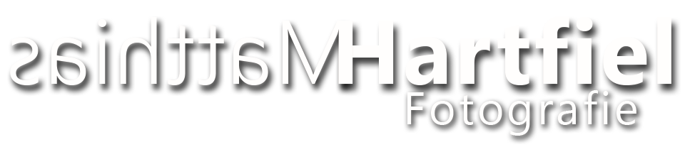 Matthias Hartfiel