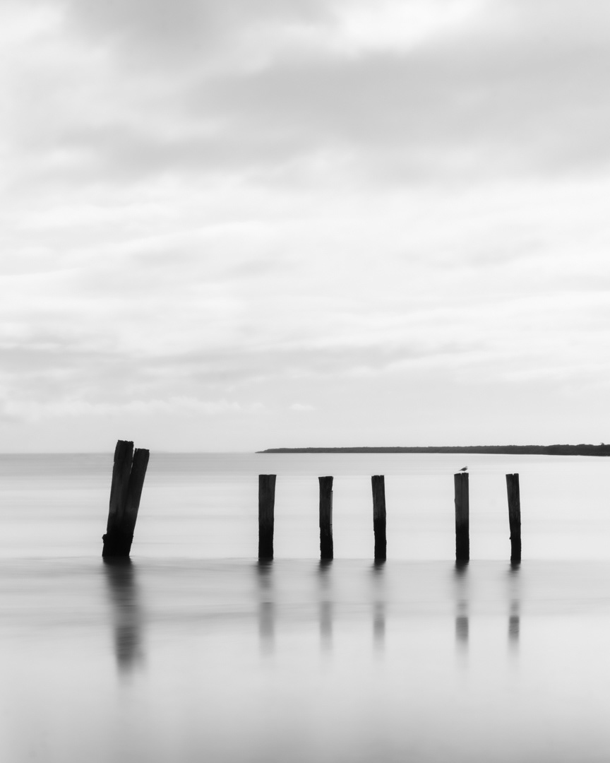 WAIHOU POLES BW 1