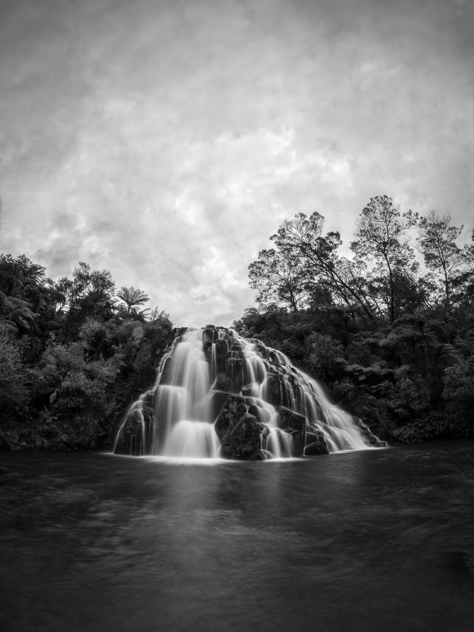 OWHAROA BW 1