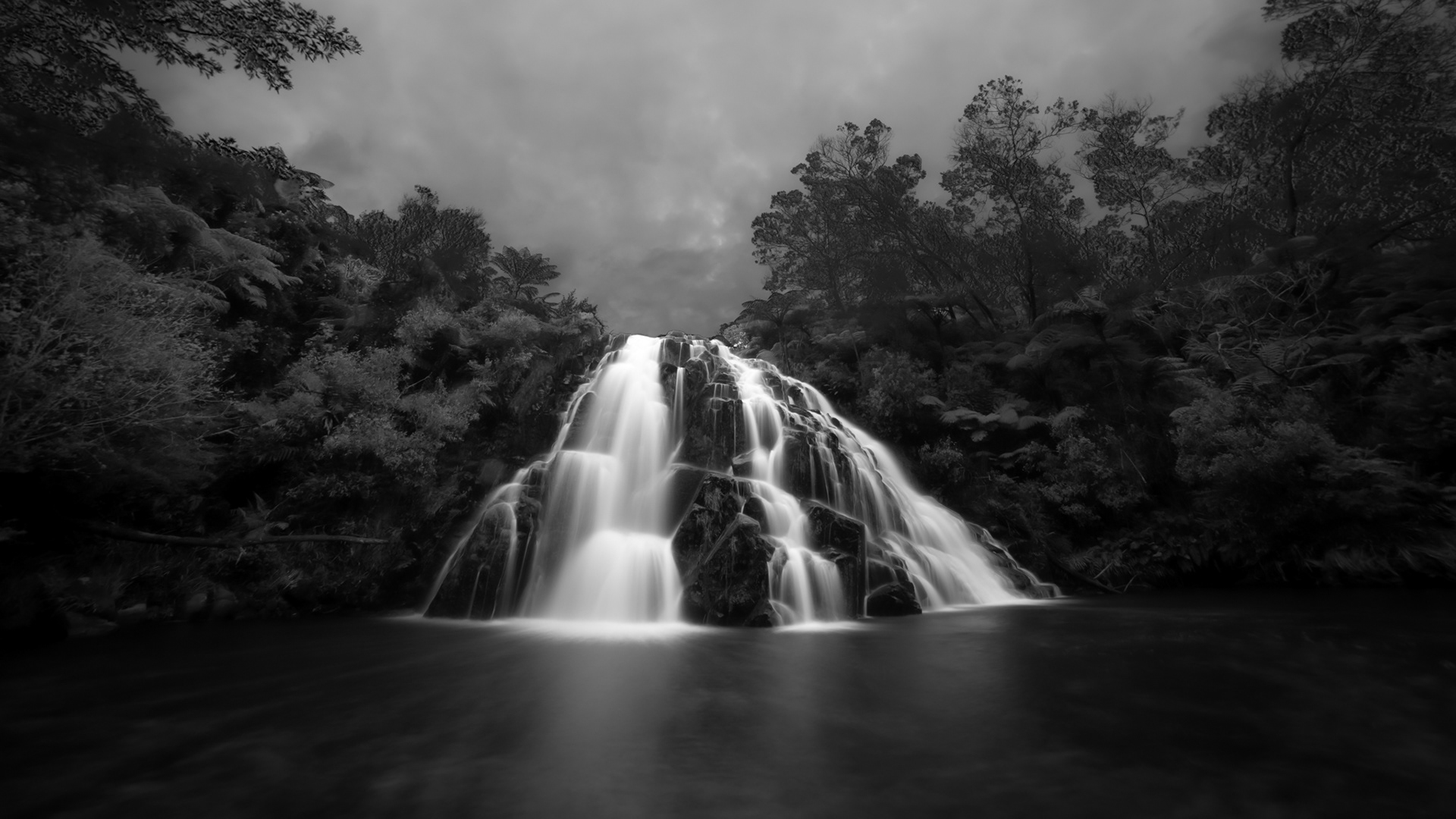 OWHAROA BW 2