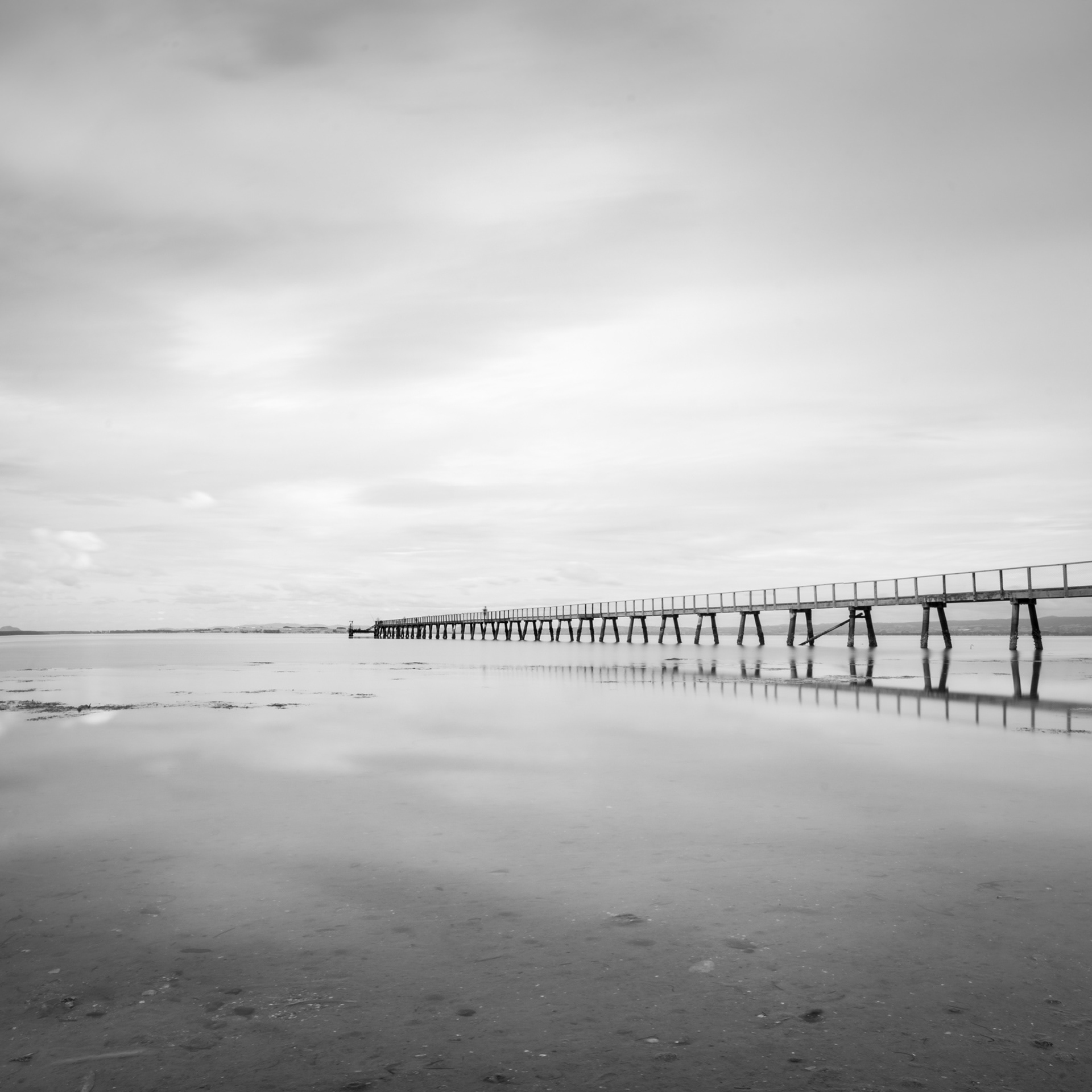 KAURI POINT WHARF BW 2