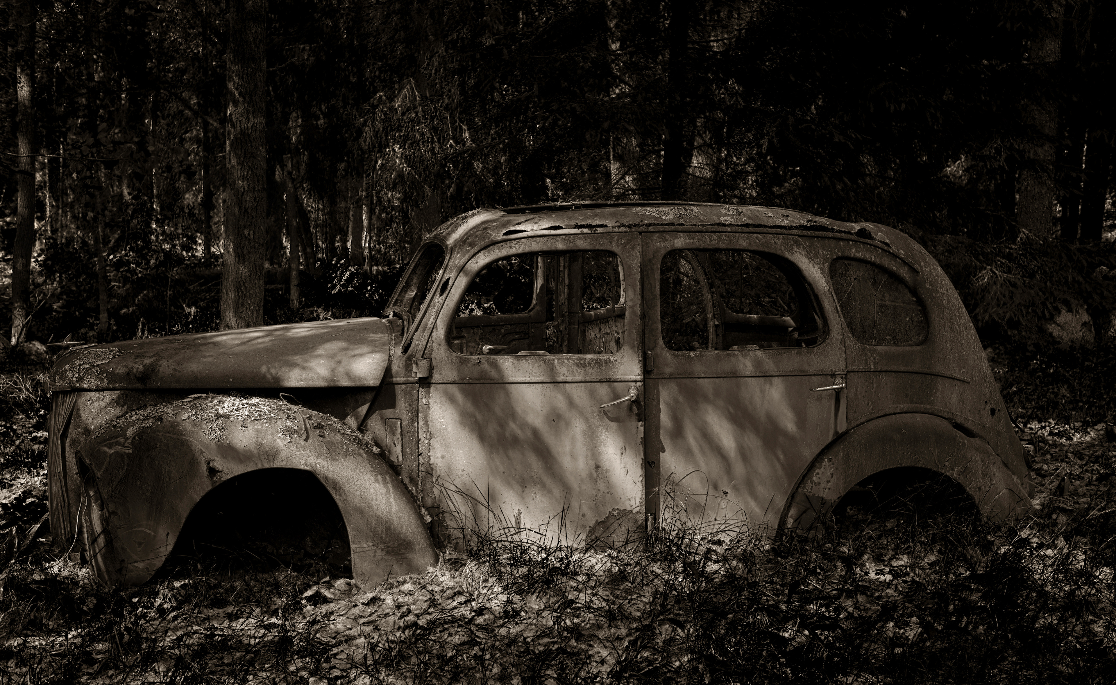 Old decaying rusty vintage Ford Prefect in the woods in black and white
