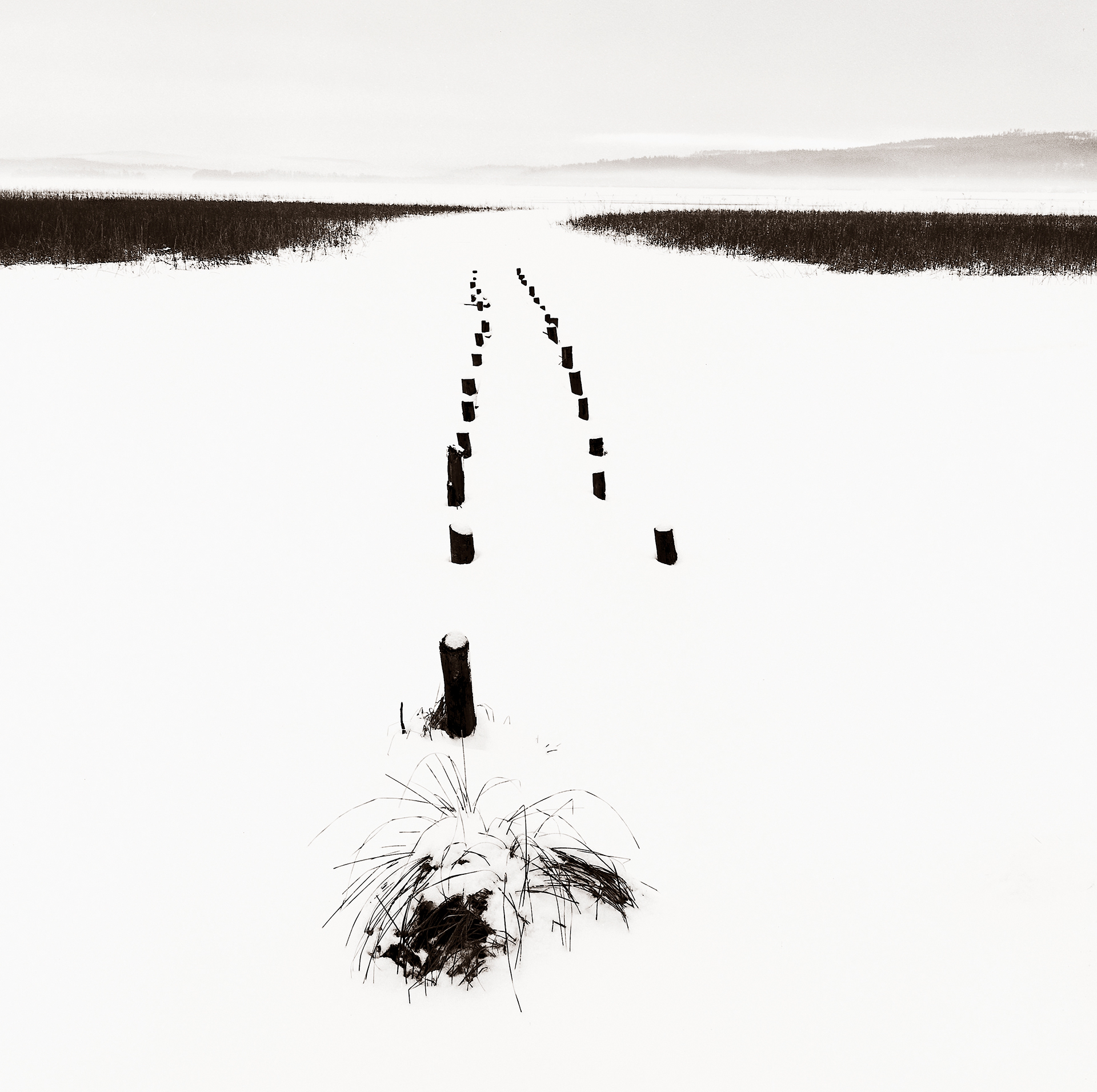 A foggy winter day by the snow covered lake.  A snow covered pier in the foreground with reed in the backgtound 