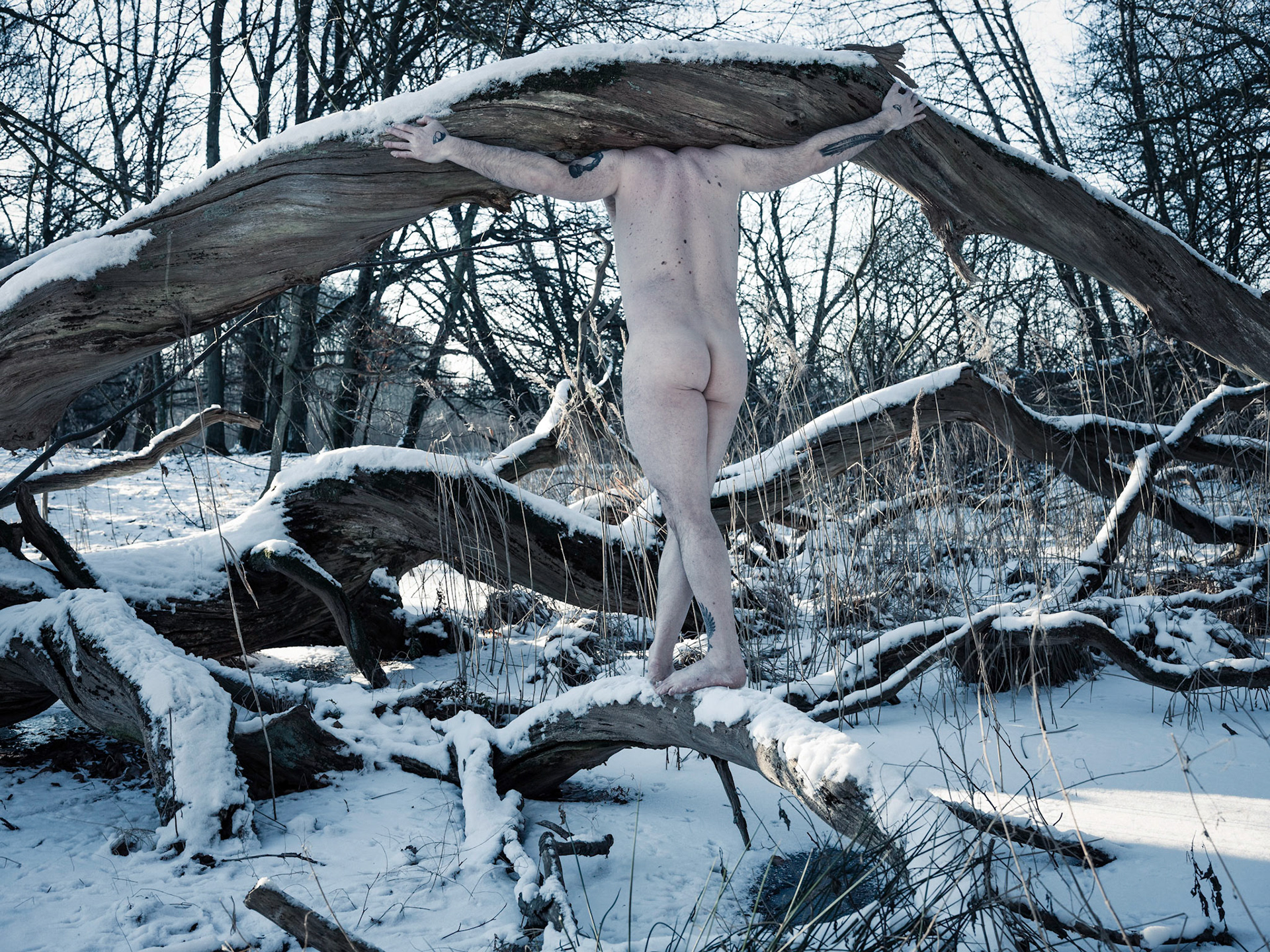 Frozen Pond (2021)
