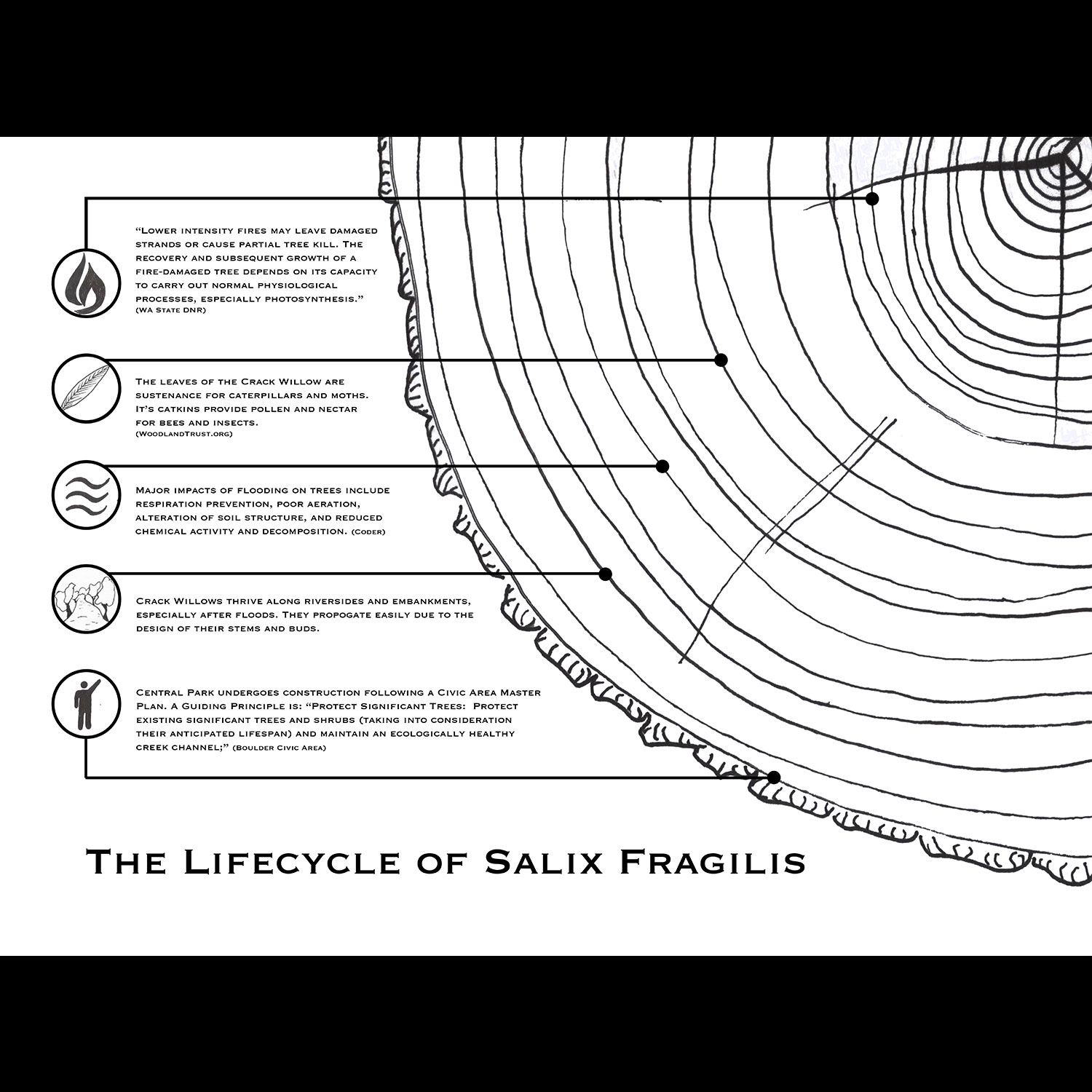 an exercise in timelines and infographics