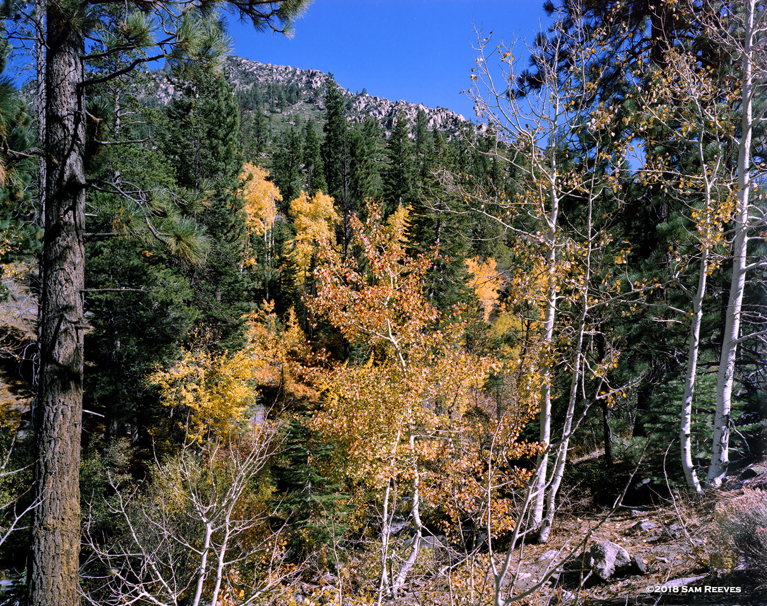 Carson River