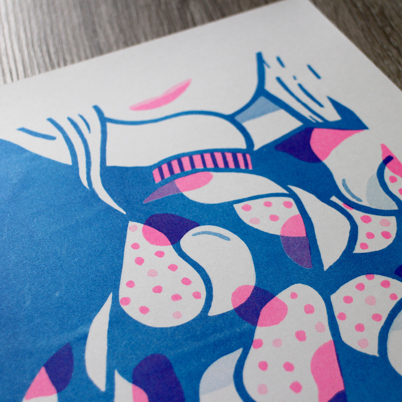 Lienke Raben illustration & design