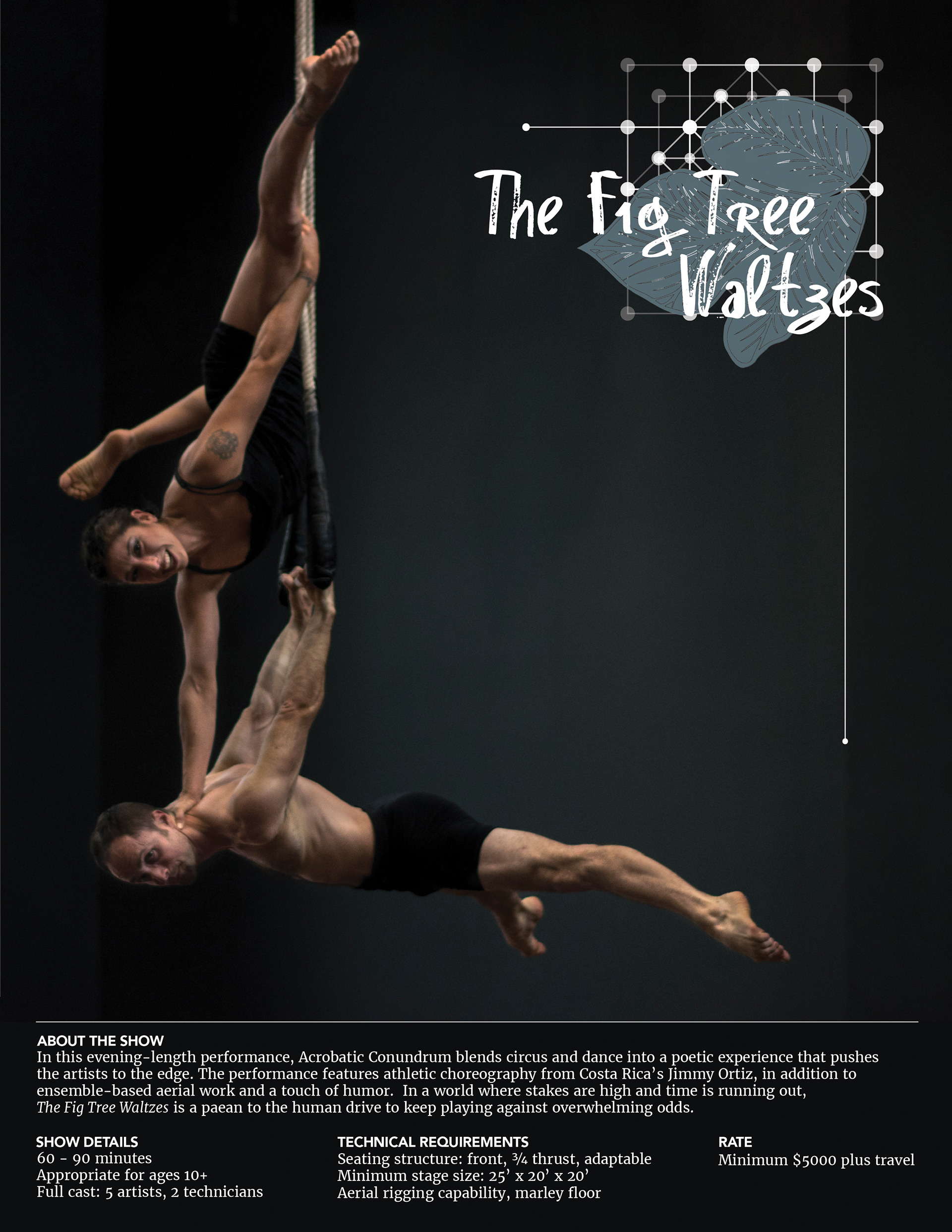 Circus Show Logo and Info Sheet