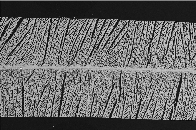 Freeze casted symmetrical SOFC/SOEC