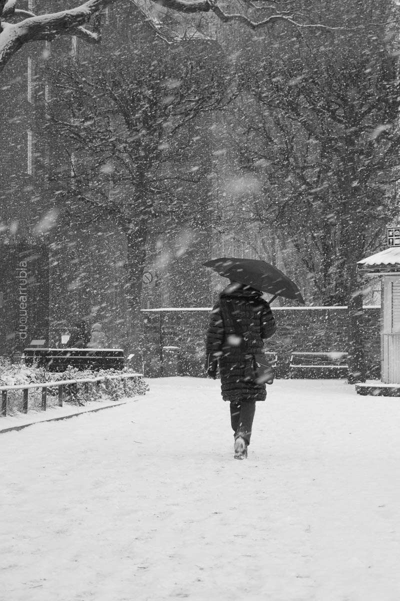 Nieve y sombrilla. Estocolmo, Suecia, 2016. Todo cambió cuando llego a la ciudad. Ya nada volvería a ser como antes