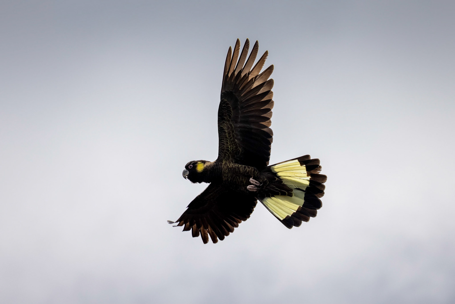 West Coast trip10/2021photo- Peter Mathew