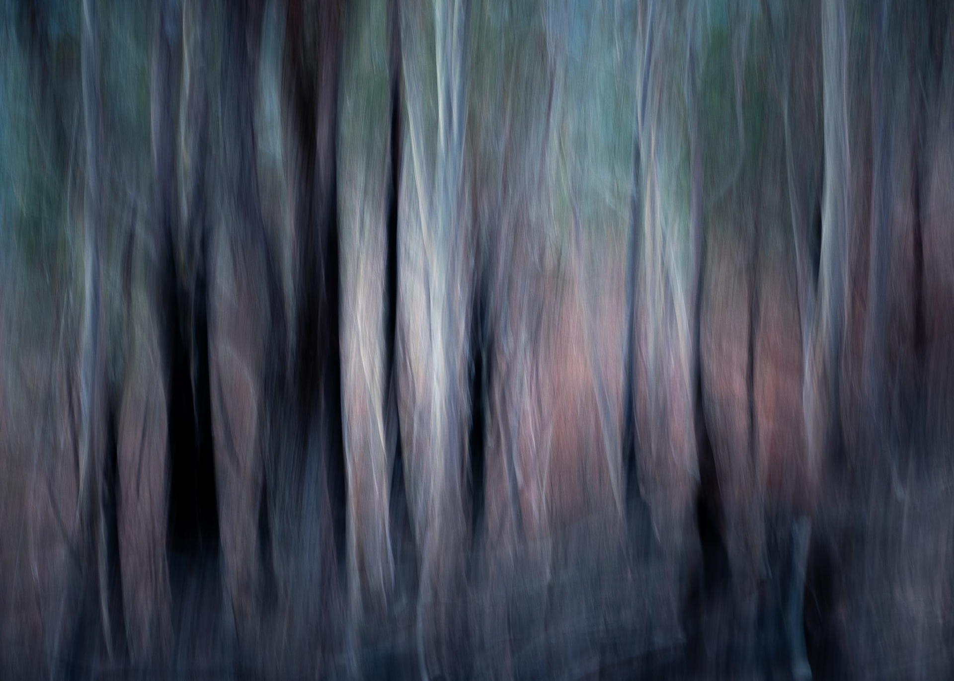 Cockle Creek van trip/09/2019photography Peter Mathew