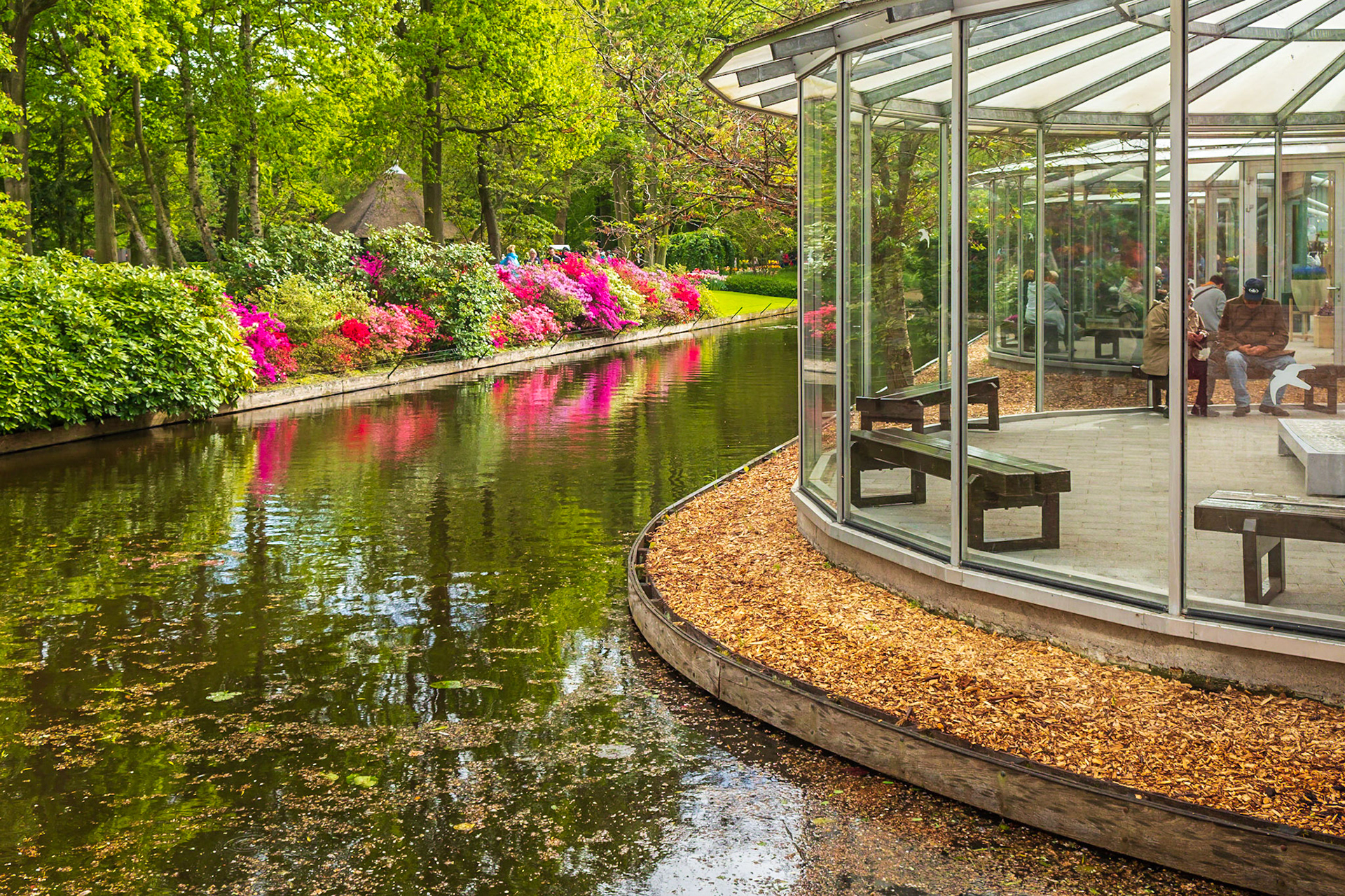 2019 | Netherlands, Keukenhof