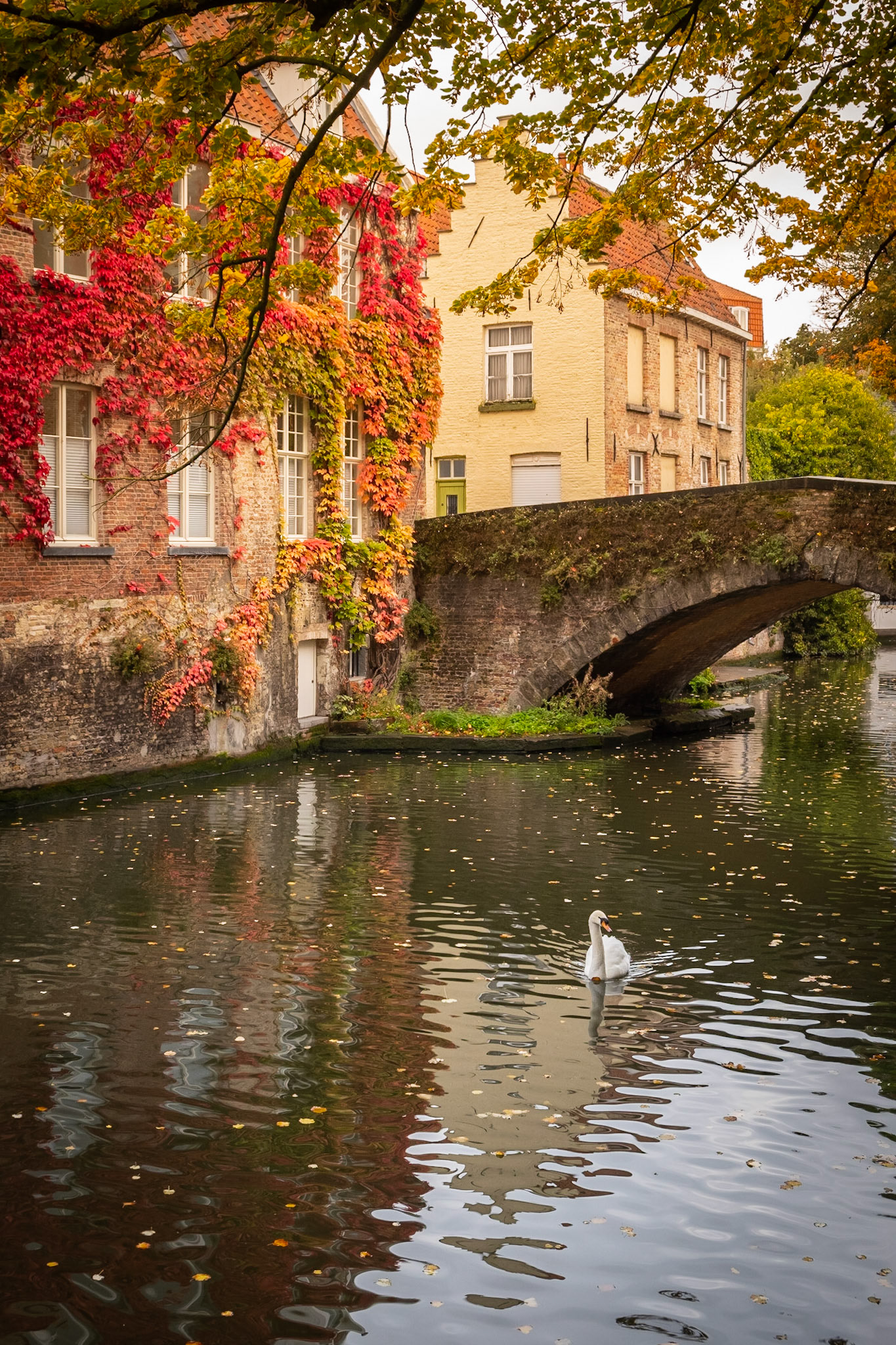 2019 | Belgium, Brugges | Groenerei