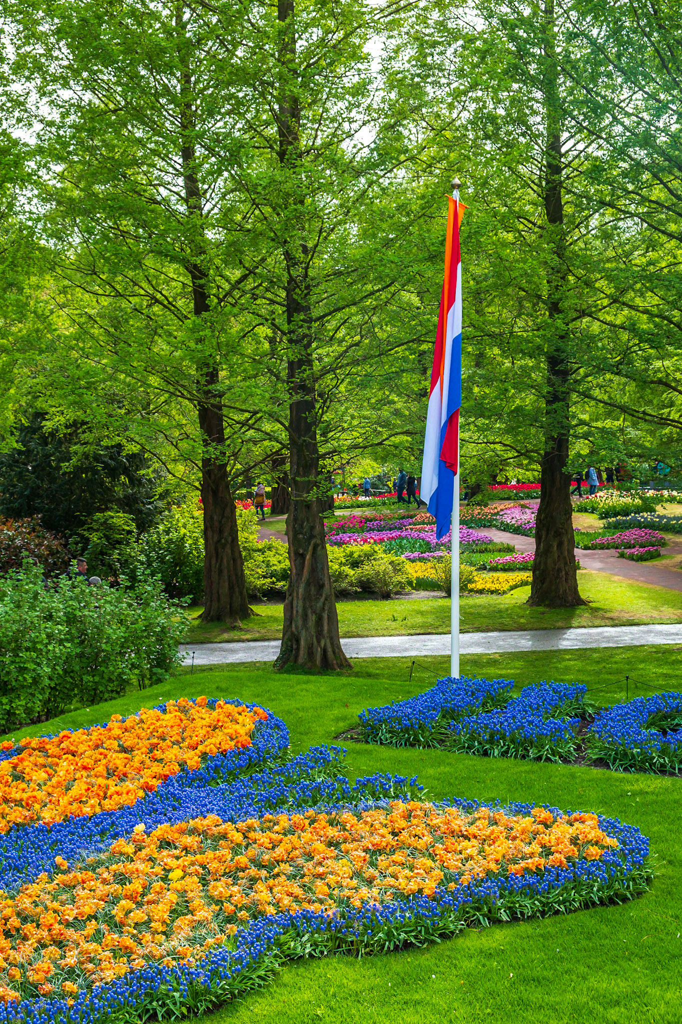 2019 | Netherlands, Keukenhof