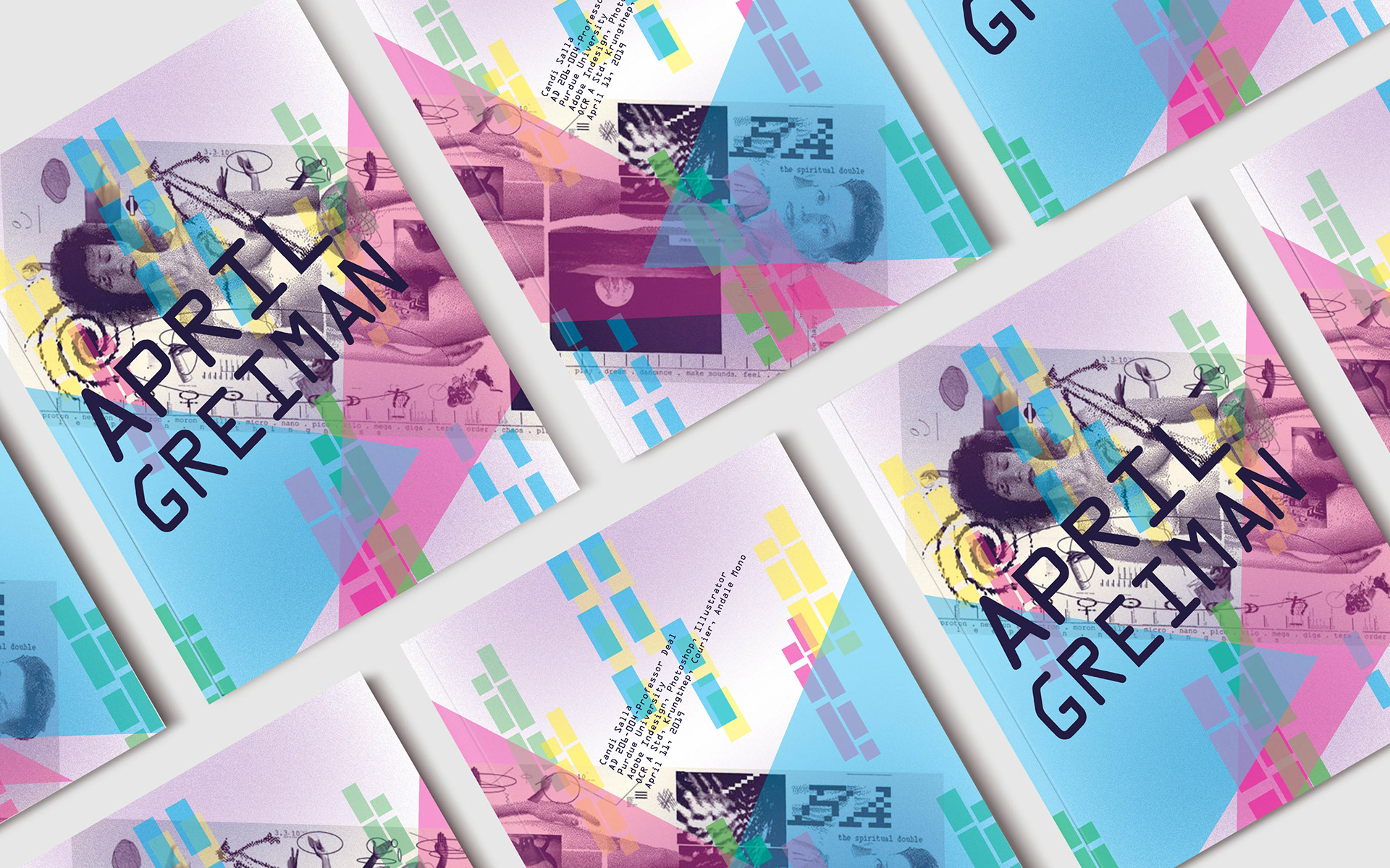 Candi Ann Design - April Greiman Booklet