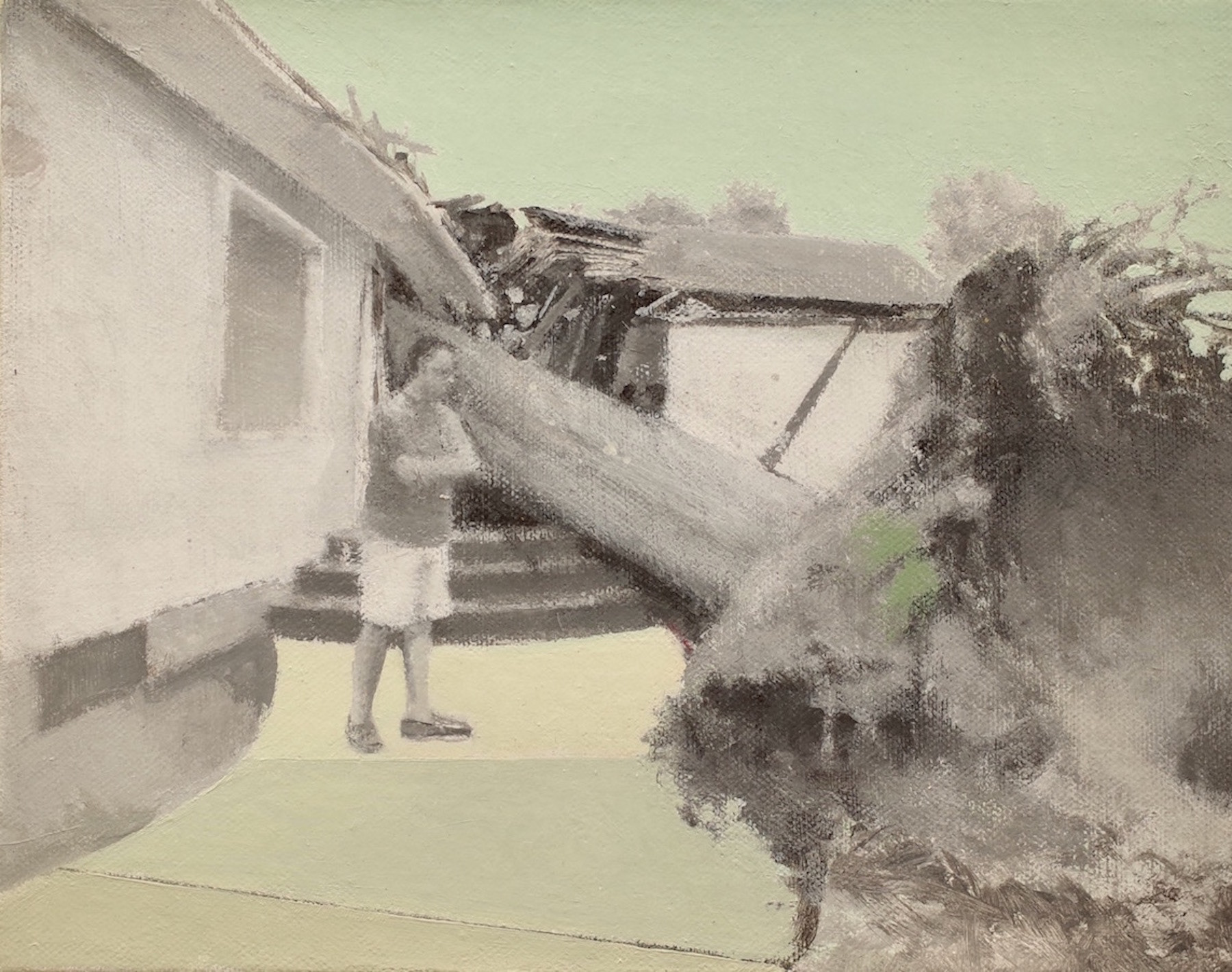 Fallen Tree, 2011, 8”x 8”, oil on canvas