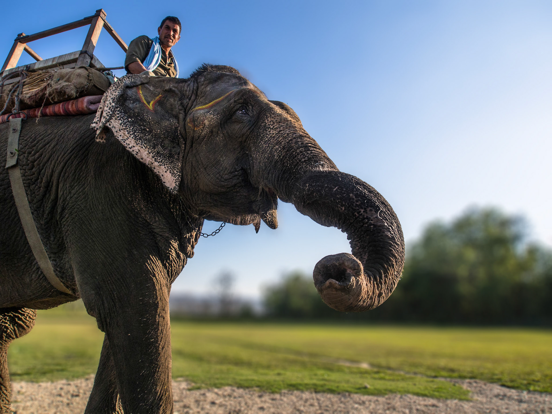 Chitwan National Park, Nepal