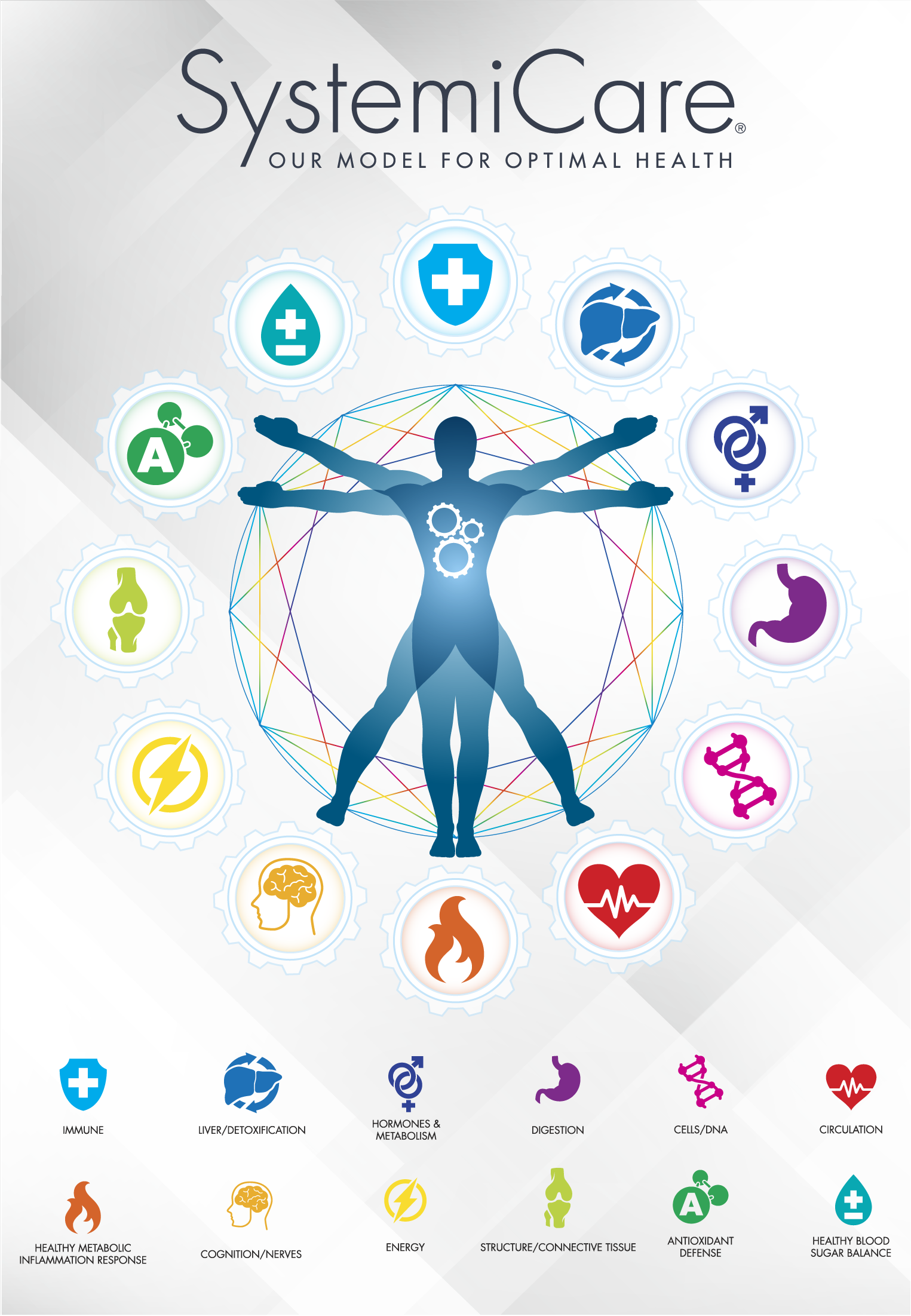 Source Naturals® Systemicare® Logotype, Brand Elements, & Icons