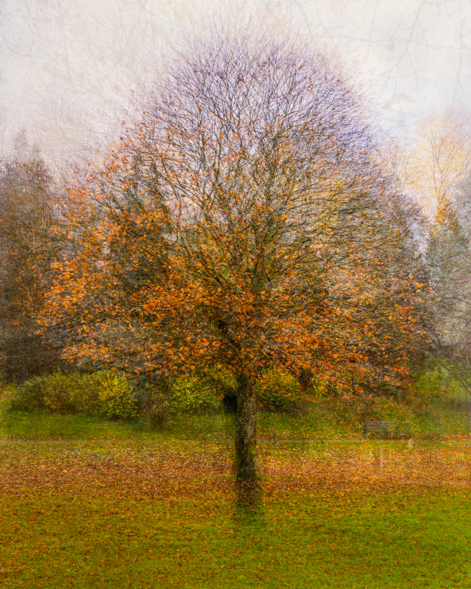 Autumn