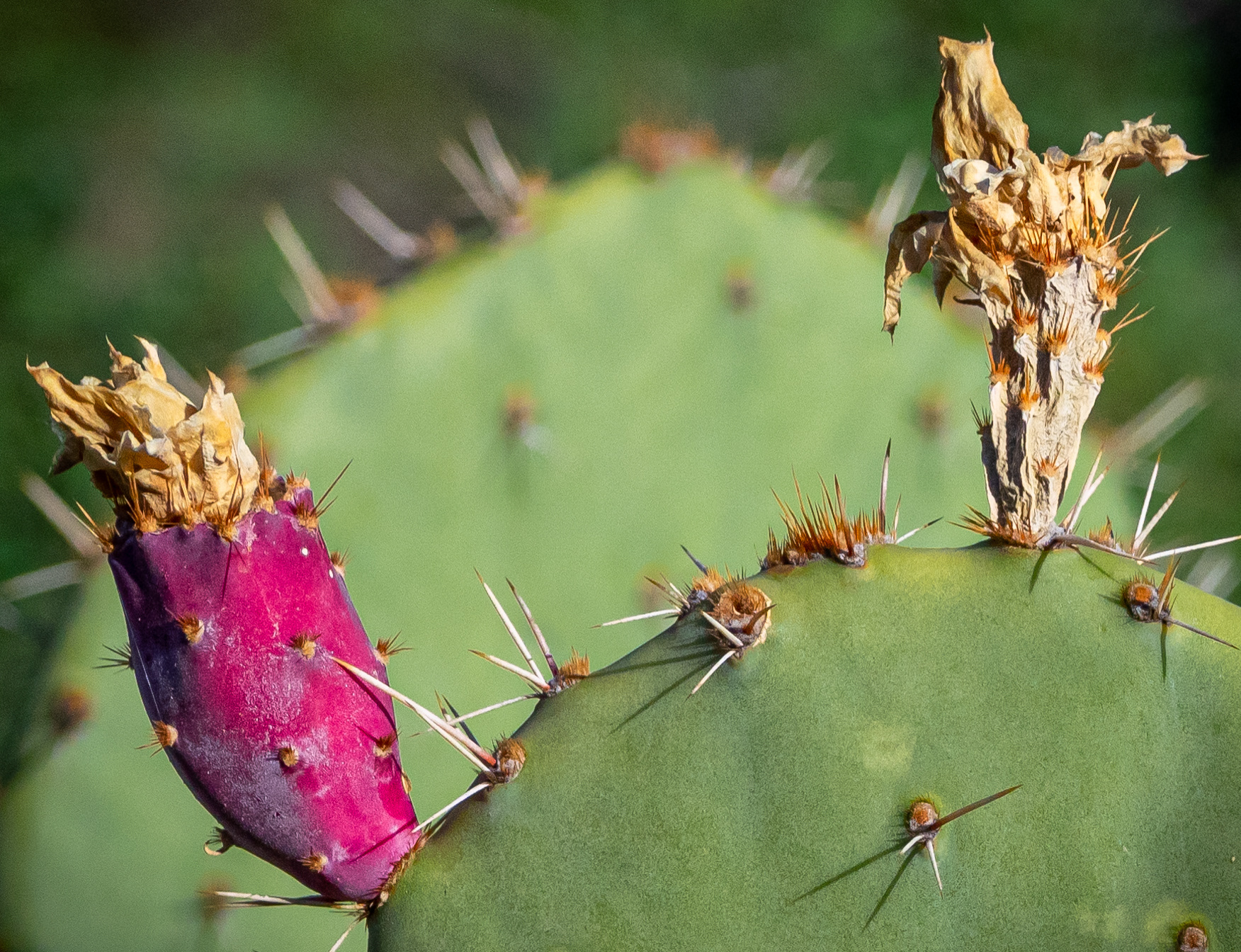 One door closes; another one opens