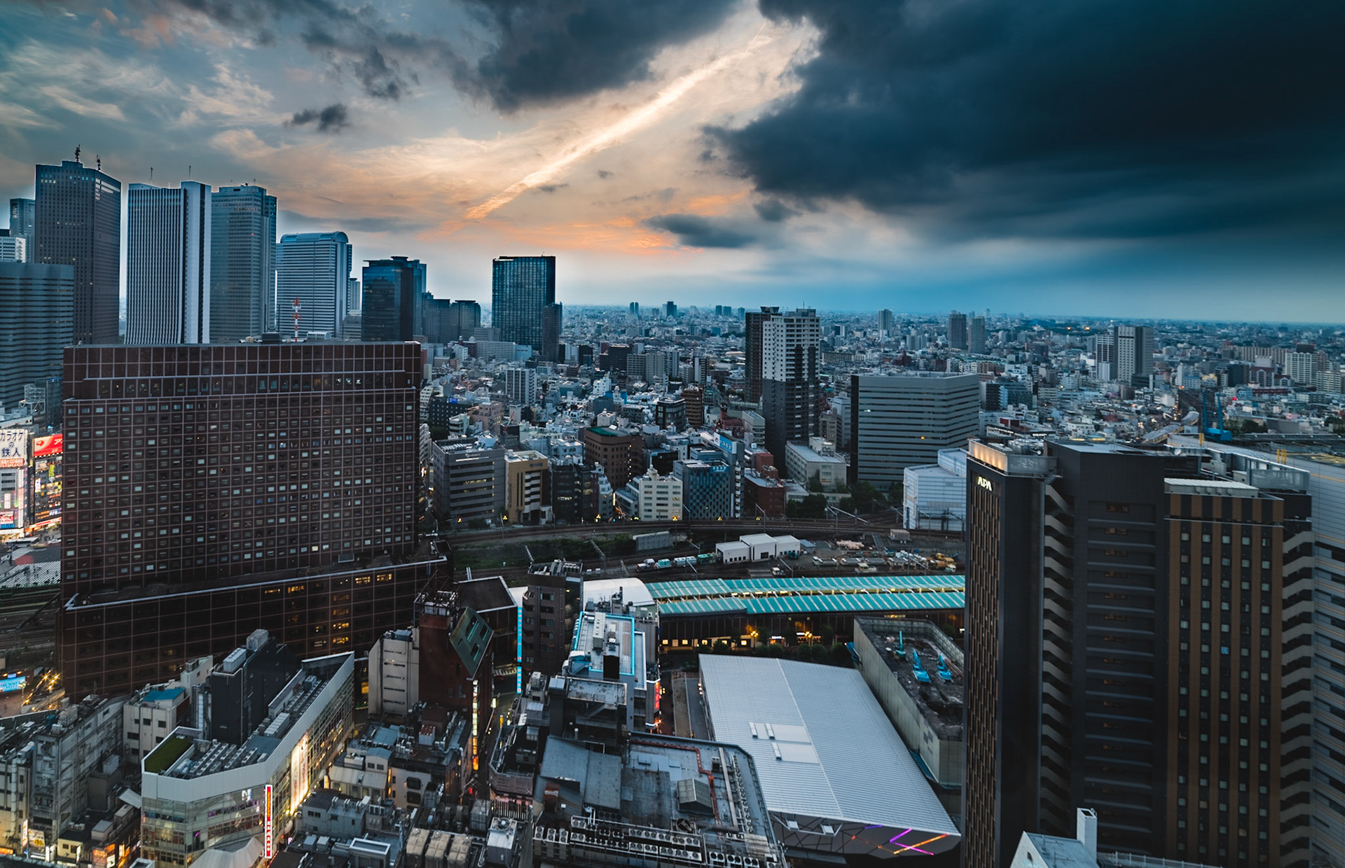 Shinjuku Skyline