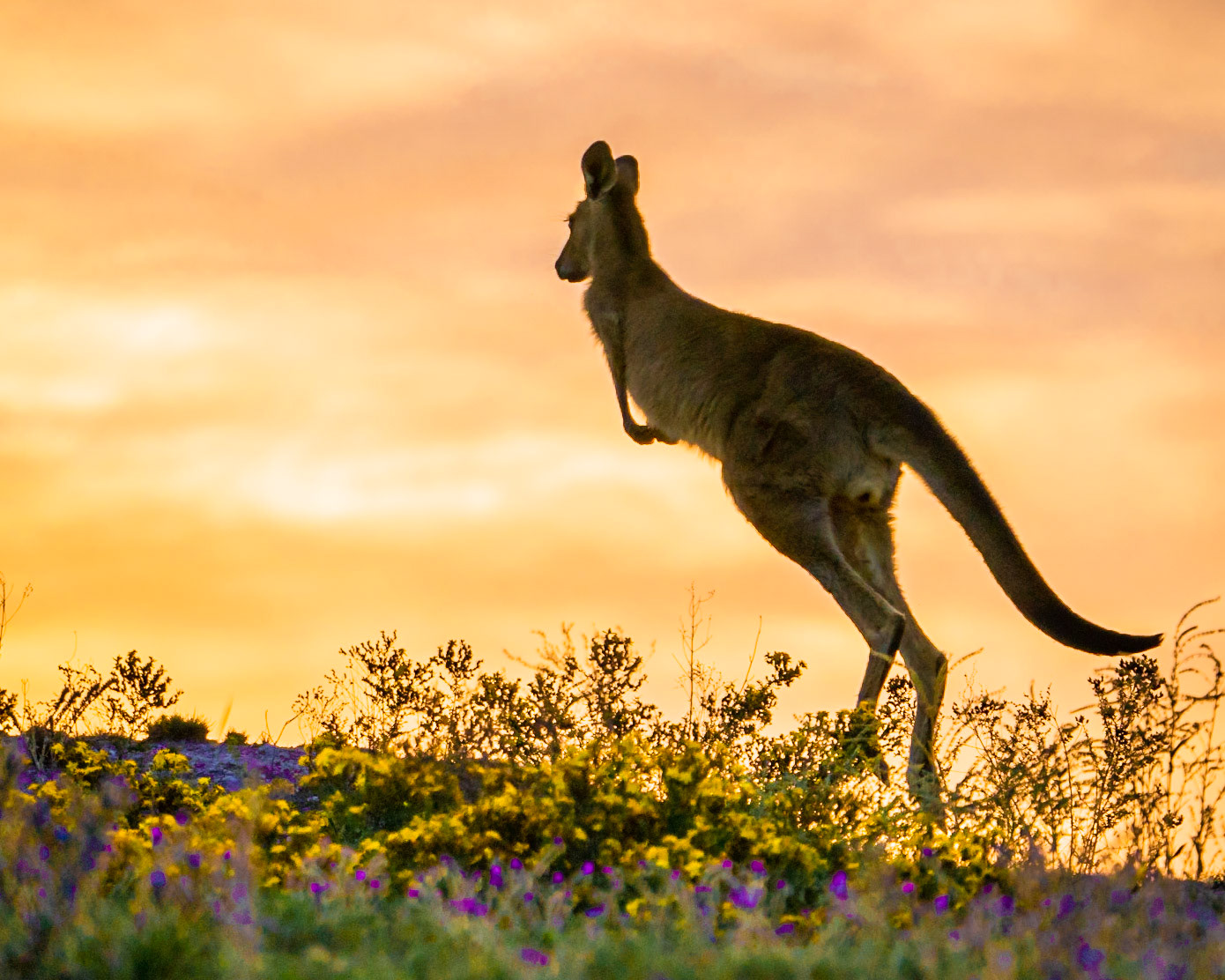 - Another warm dawn....