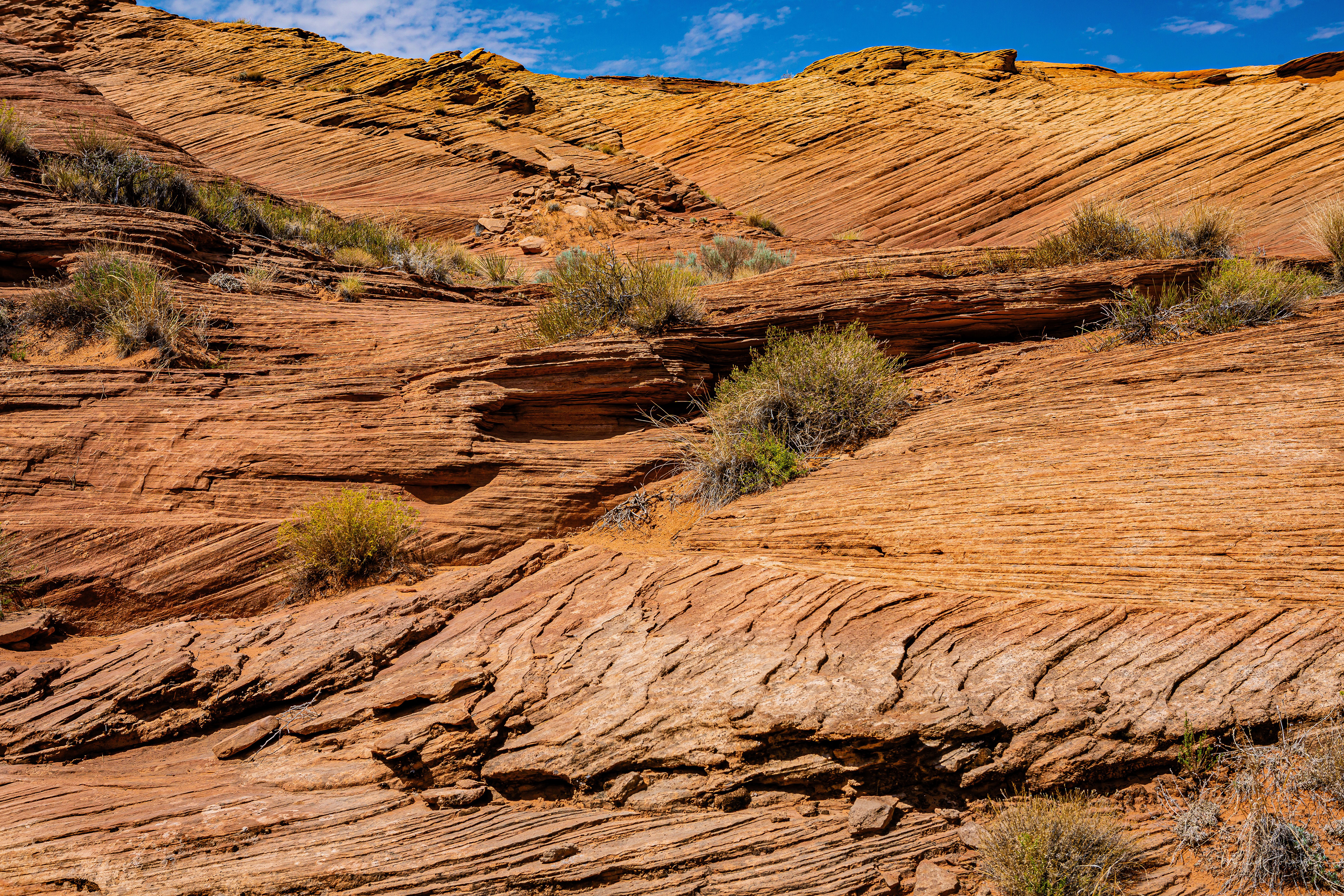 Lake Powell Bluffs