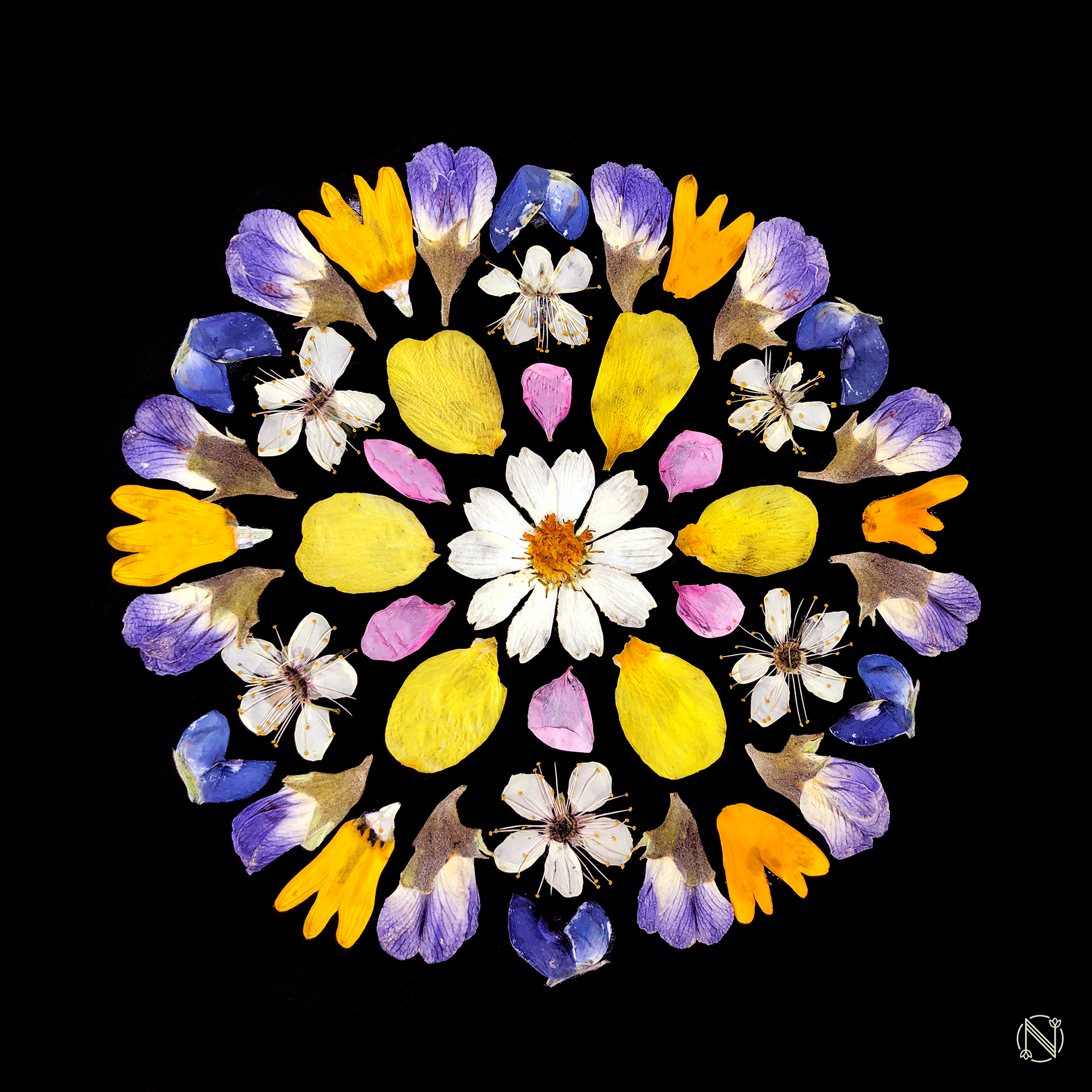 Mandala Vernal Equinox 3
