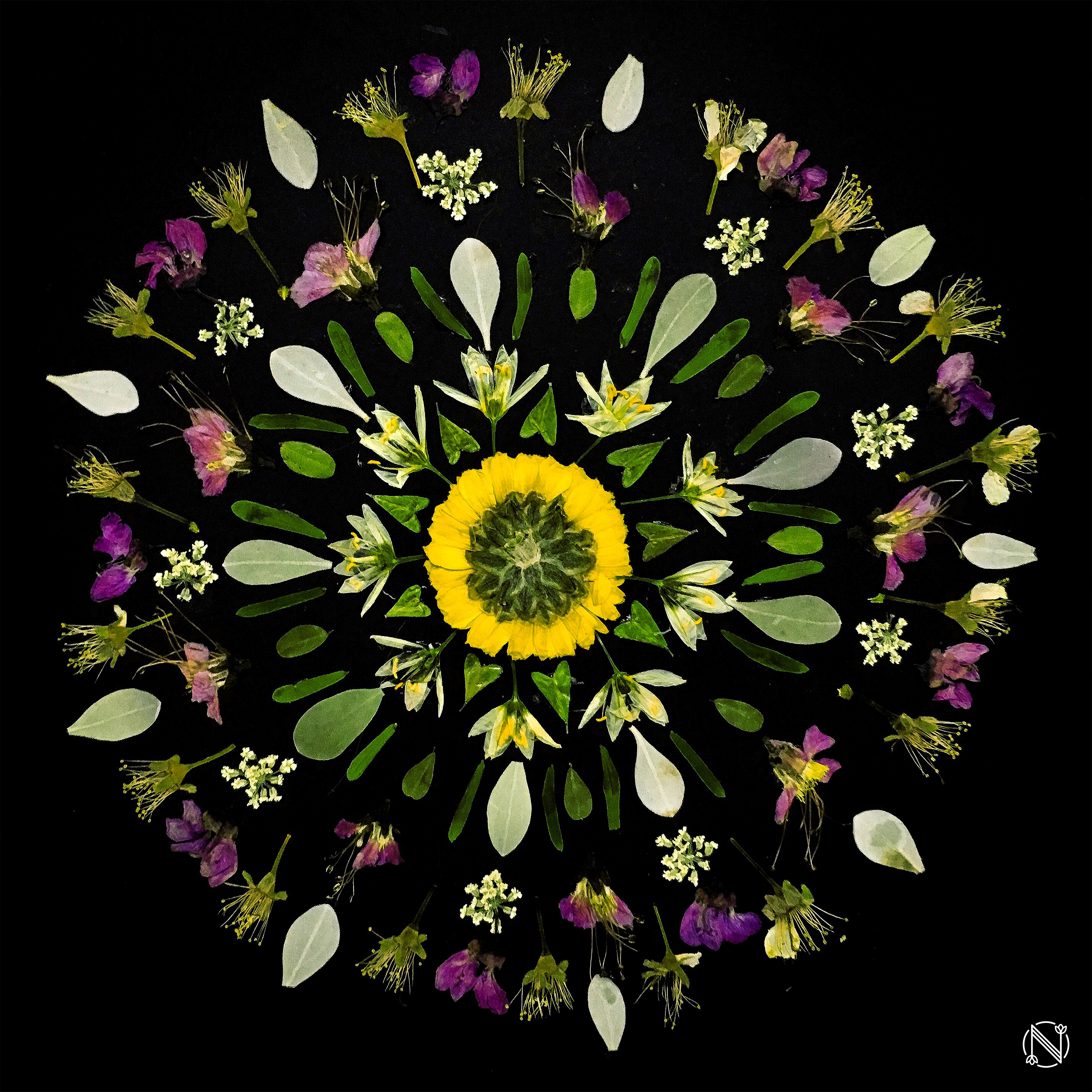 Mandala 2